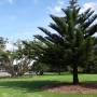Australie - 