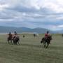 Mongolie - Course de chevaux - Naadam