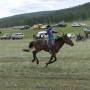 Mongolie - Course de chevaux