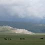 Mongolie - Paysage