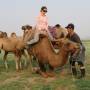 Mongolie - Descente de chameau