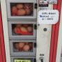 Japon - On trouve de tout dans ces distributeurs...