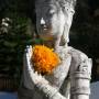 Thaïlande - Beau Bouddha fleuri