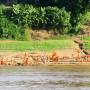 Laos - La baignade des moines