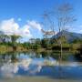 Laos - Marécage au bord de la rivière