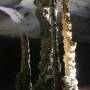 Laos - Stalactites et mites