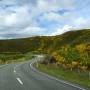 Nouvelle-Zélande - En route