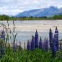 Nouvelle-Zélande - Lac vers Queenstown