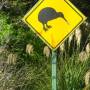 Nouvelle-Zélande - Attention aux kiwis!
