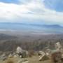 USA - parc national joshua tree, californie