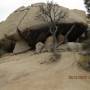 USA - parc national joshua tree, californie