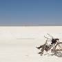 Bolivie - Sur le Salar