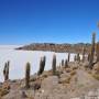 Bolivie - Salar de Uyuni