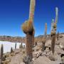 Bolivie - Salar de Uyuni