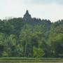 Indonésie - Borobudur vu des rizieres