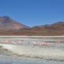 Bolivie - Sud Lipiez