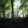 Mexique - Le site archeologique de Palenque, illumine par le soleil