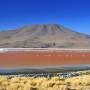 Bolivie - Sud lipiez