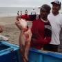 Équateur - Same- Pêcheur et corvina