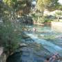 Turquie - piscine antique pool, fontaine sacrée