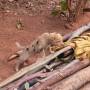 Madagascar - dans un village