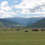 Mongolie - Vallee de l Orkhon