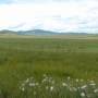 Mongolie - Plein les yeux