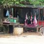 Cambodge - Boucherie refrigeree... sur le bord de la route!