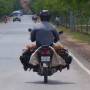 Cambodge - chicken hut! livre a domicile!