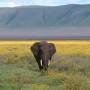 Arusha (Snake Parc), Lac...