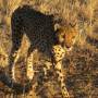 Namibie mon coup de coeur!