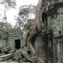 Siem Reap et les Temples...