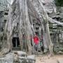 Cambodge - Ta Prohm