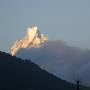 Népal - Holy mountain:  Macchapuchare