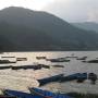 Népal - Lac de Pokhara
