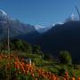 Népal - Jour 8 :  GHANDRUK - NAYAPUL (1070M)