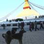 STUPA DE BODHNATH, 24 au 26 oct