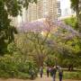 Australie - la nature