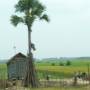Cambodge - 