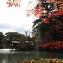 Japon - Parc Kanazawa