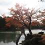 Japon - Parc Kanazawa