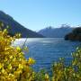Argentine - Montagne enneigée, lac aux eaux limpides, fleurs colorées...