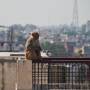 Inde - Singe des villes