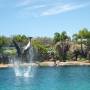 Australie - Sea World