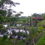 Indonésie - water palace