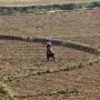 Viêt Nam - Bac Ha, dans les montagnes du nord