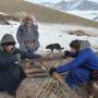 Mongolie - Scions scions du bois