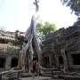 Les temples d'Angkor et encore...