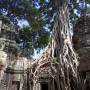 Les temples d'Angkor et encore...