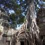 Cambodge - 